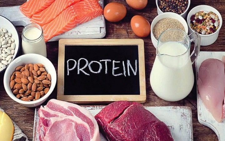 protein 1
